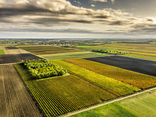 Neusiedlersee © AWMB / Robert Herbst Neusiedlersee