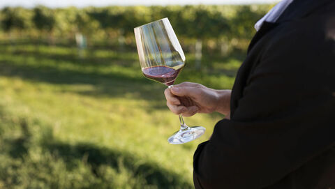 A picture shows a person holding a glass of red wine.