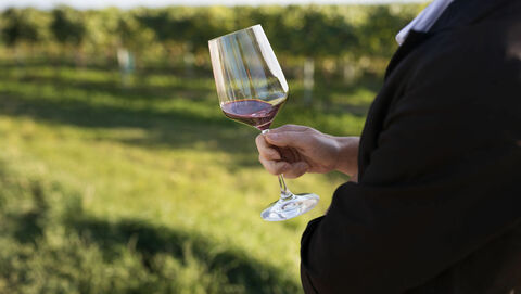 A picture shows a person holding a glass of red wine.